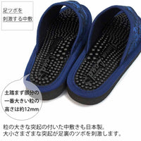足ツボを刺激する中敷き
