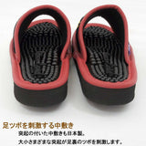 足ツボを刺激する中敷き